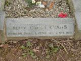 image of grave number 647245